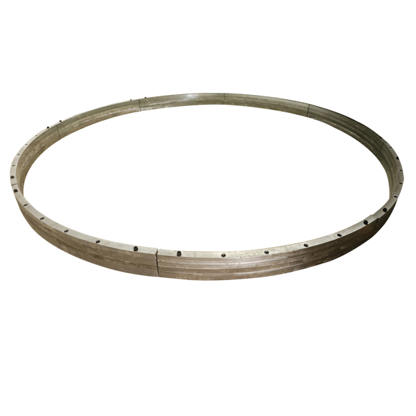 Dam Ring Segment