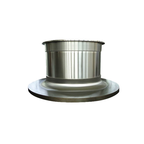 Mill Trunnion